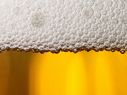 beers, bubbles, HD wallpaper HD wallpaper