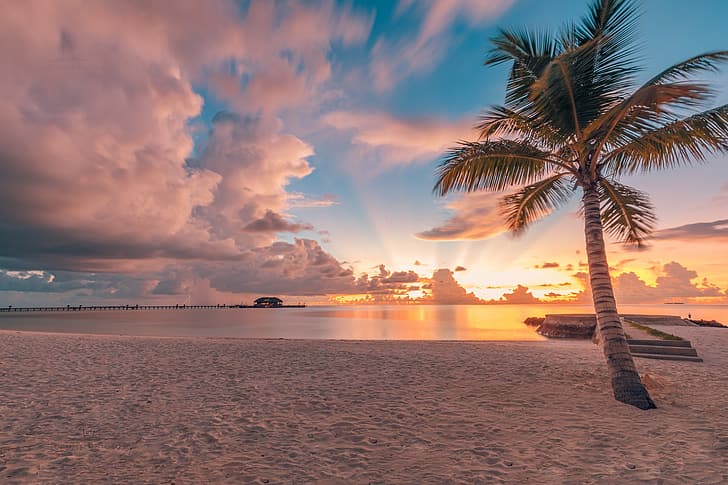 arena, playa, el cielo, nubes, puesta de sol, trópicos, Palma, el océano, Maldivas, Océano Índico, Océano Índico, Malediwy, Fondo de pantalla HD