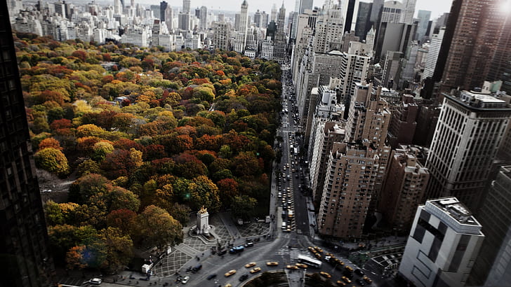 Nueva York, otoño, ciudad, metrópoli, paisaje urbano, rascacielos, árbol, edificio, centro de la ciudad, horizonte, Nueva York, gran manzana, Central Park, Estados Unidos, Manhattan, Fondo de pantalla HD