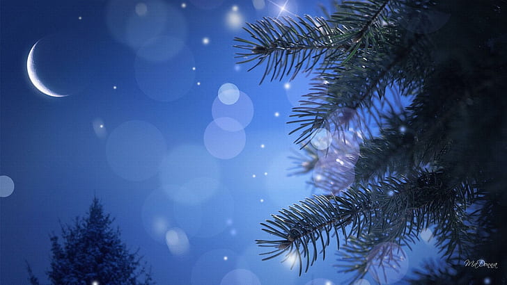 Calm Winter Night, firefox persona, stars, christmas, bubbles, bright, tree, blue, moon, bokeh, winter, holiday, 3d, HD wallpaper