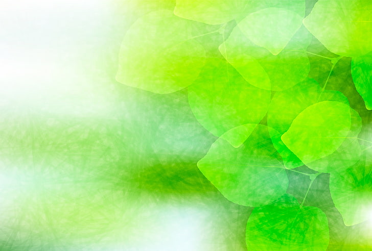 green leafed plant digital wallpaper, leaves, green, background, HD wallpaper
