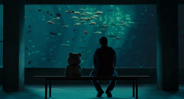 Тед, аквариум, фильмы, тед фильм, тед, аквариум, фильмы, HD обои