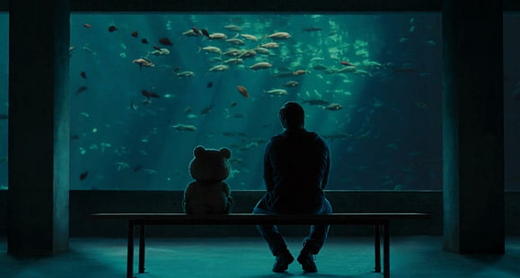 Ted, akvarium, filmer, ted film, ted, akvarium, filmer, HD tapet HD wallpaper