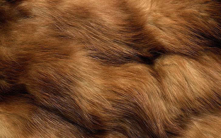 brown fur, fur, spotted, animal, clothing, HD wallpaper