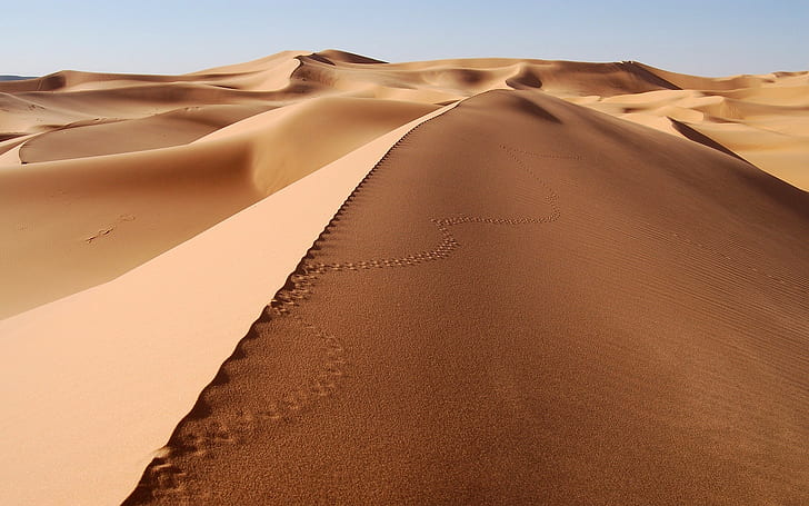 dune sand desert landscape footprints, HD wallpaper