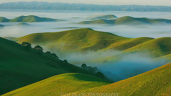 aerial view of hills covered with fog during day time, Rolling Hills, aerial view, day, time, Early Spring, Spring Green, Morning, Lights, Low, Fog, Livermore, Bay Area  California, East Bay, nature, hill, mountain, landscape, agriculture, scenics, farm, rural Scene, meadow, outdoors, land, field, grass, summer, HD wallpaper HD wallpaper