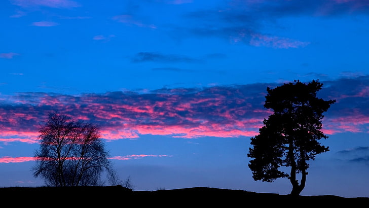 Schattenbildfoto des Baums, Natur, Wolken, Himmel, Sonnenuntergang, Landschaft, Bäume, HD-Hintergrundbild