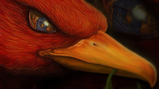 Phoenix, Reflexion, Vögel, Tiere, HD-Hintergrundbild HD wallpaper