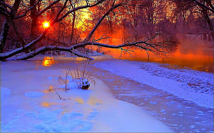 ต้นไม้สีน้ำตาล, ฤดูหนาว, พระอาทิตย์ตก, ตอนเย็น, สาขา, ต้นไม้, บ่อน้ำ, เย็น, หิมะ, วอลล์เปเปอร์ HD