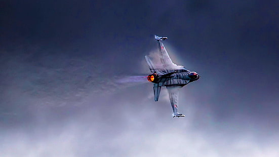 f 16, f16, fighting falcon, aircraft, fly, falcon, military, HD wallpaper HD wallpaper