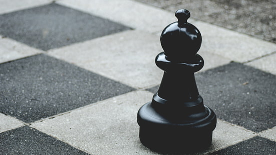 peão de xadrez preto, xadrez, elefante, figura, bw, HD papel de parede HD wallpaper