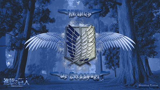 아니메, 타이탄 공격, 정찰 군단, 자유의 날개, HD 배경 화면 HD wallpaper