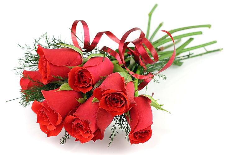 red roses, flowers, roses, bouquet, red, white background, ribbon, HD wallpaper