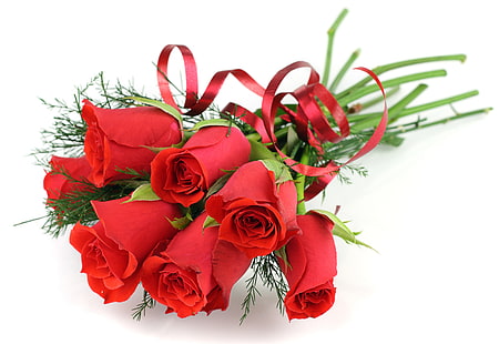rose rosse, fiori, rose, mazzo di fiori, rosso, sfondo bianco, fiocco, Sfondo HD HD wallpaper