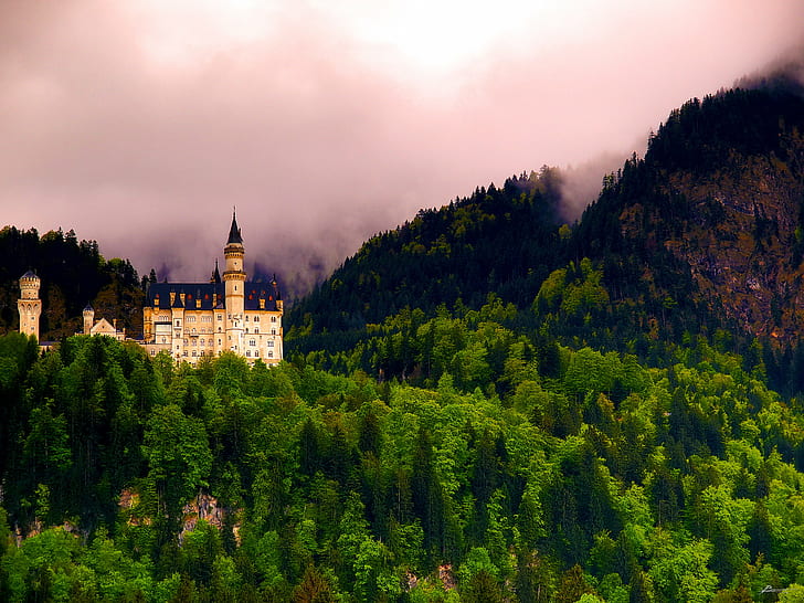 въздушна снимка на бял и черен замък със зелени дървета снимка, замък Нойшванщайн, замък Нойшванщайн, замък Нойшванщайн, въздушна снимка, бял, черен замък, дървета, замък Нойшванщайн, Фюсен, град, Осталгяу, област, Бавария, Германия, север, Австрия, граница, мъгла гора, зелен дъжд, планини, Европа, Dex, планина, хълм, на открито, архитектура, известно място, дърво, пейзаж, природа, живопис, лято, пътуване, история, HD тапет