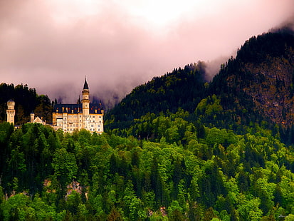 zdjęcie lotnicze biało-czarnego zamku z zielonymi drzewami zdjęcie, zamek neuschwanstein, zamek neuschwanstein, zamek neuschwanstein, zdjęcie lotnicze, biały, czarny zamek, drzewa, zamek neuschwanstein, Füssen, miasto, Ostallgäu, powiat, Bawaria, Niemcy, północ, austriacki, granica, las mgły, zielony deszcz, góry, europa, dex, góra, wzgórze, na dworze, architektura, słynne miejsce, drzewo, krajobraz, natura, scenics, lato, podróż, historia, Tapety HD HD wallpaper