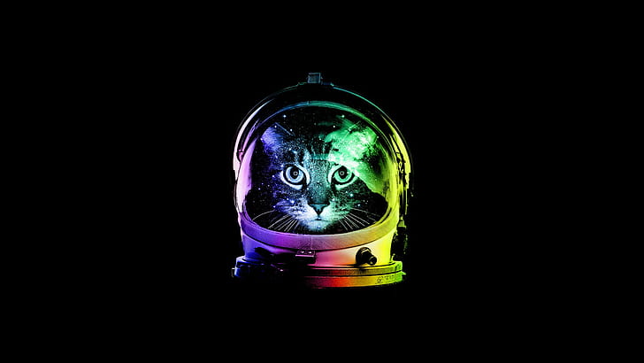 colorido, minimalismo, gato, astronauta, Fondo de pantalla HD