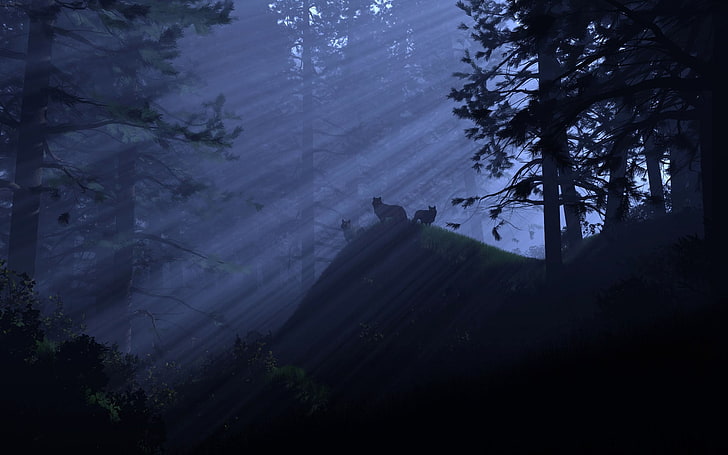 ต้นไม้ใบหมาป่าป่าแสงจันทร์สัตว์ธรรมชาติ, วอลล์เปเปอร์ HD