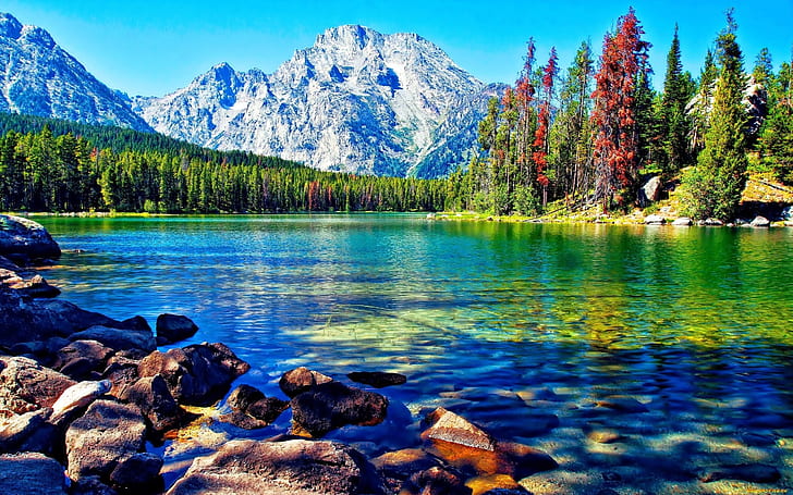 Beautiful Lake Mountain Forest Wallpaper Desktop, Wallpaper HD