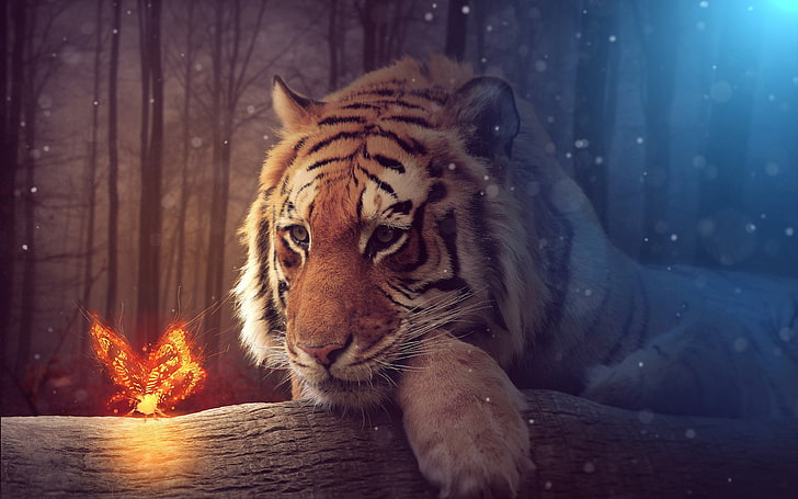 Jungle Tiger Fire Kelebek Yapıt 2017 4K Yüksek Kalite .., HD masaüstü duvar kağıdı
