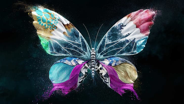 artwork, butterfly, dark background, HD wallpaper