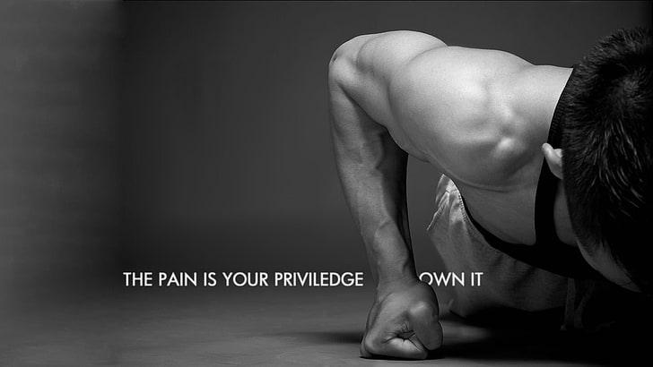 Боль - это ваша привилегия владеть ею, мышцы, мужчины, типография, монохромный, мотивационный, HD обои