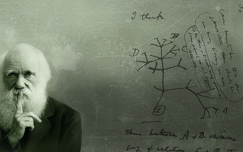 sakallı adam fotoğraf, Charles Darwin, HD masaüstü duvar kağıdı HD wallpaper