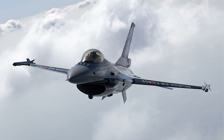 Belgier F16, graues Kampfflugzeug, Düsenjäger, Belgier, Flugzeuge, HD-Hintergrundbild