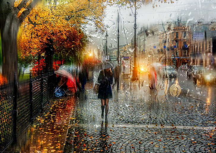 жена под дъжда снимка, момиче, капки, чадър, Санкт Петербург, есенен дъжд, HD тапет
