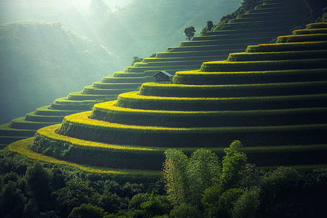 agricultural, agriculture, cropland, daylight, ecology, farm, fog, food, grass, green, ground, growth, hut, land, landscape, mountains, outdoors, plant, rice, rice terraces, scenic, soil, sunlight, trees, public domain, HD wallpaper HD wallpaper