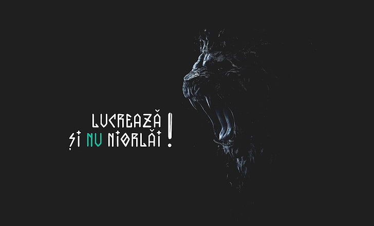 black roaring lion digital wallpaper, lion, brilliancereview, lucreaza, HD wallpaper