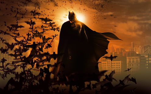 Batman wallpaper, Batman, bats, city, Batman Begins, movies, HD wallpaper HD wallpaper