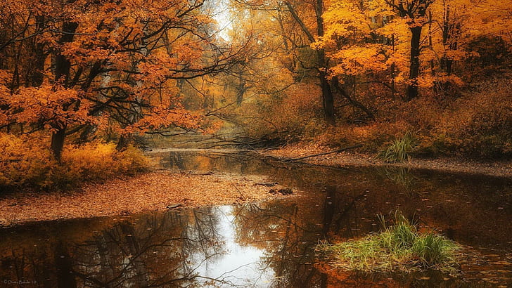 *** Tek kelimeyle güzel sonbahar ***, natura, drzewa, rzeka, jesien, doğa ve manzara, HD masaüstü duvar kağıdı