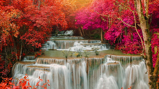 si sawat、深い森、風景、アジア、楽園の滝、カンチャナブリ、植物、木、国立公園、紅葉、フアン・スリナガリンドラ国立公園、タイ、ホワイ・メイ・カミンの滝、水、自然、滝、秋、 HDデスクトップの壁紙 HD wallpaper