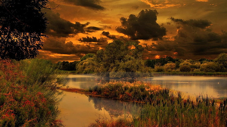reflection, nature, water, sky, wilderness, vegetation, wetland, sunset, bank, leaf, evening, lake, clouds, tree, river, HD wallpaper