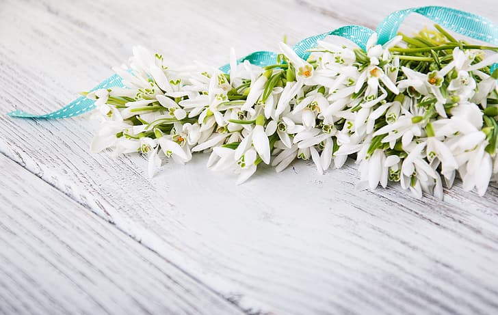 flowers, bouquet, snowdrops, white, spring, HD wallpaper