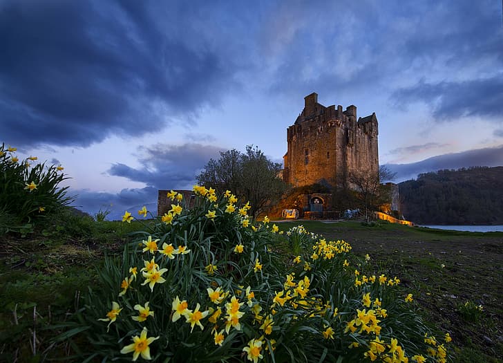 the sky, flowers, castle, Scotland, daffodils, Eilean Donan Castle, The Eilean Donan Castle, HD wallpaper