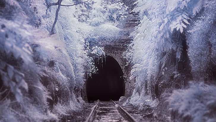 tunnel, winter, frosty, ice, icy, frost, frosted, freeze, rail, HD wallpaper