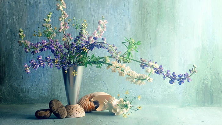 lupines, flower, vase, wall, shell, HD wallpaper