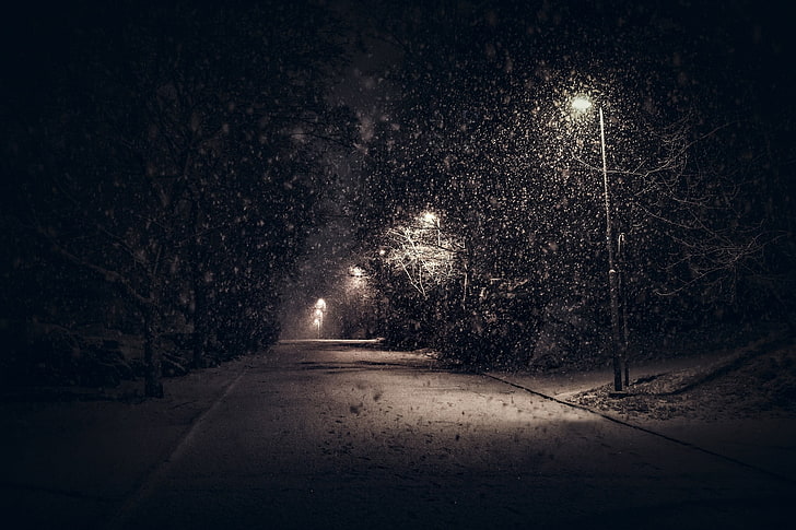 Betonstraße, Landschaft, Natur, Straßenlaterne, Schnee, Bäume, Nacht, städtisch, Sträucher, Ruhe, Winter, schneit, HD-Hintergrundbild