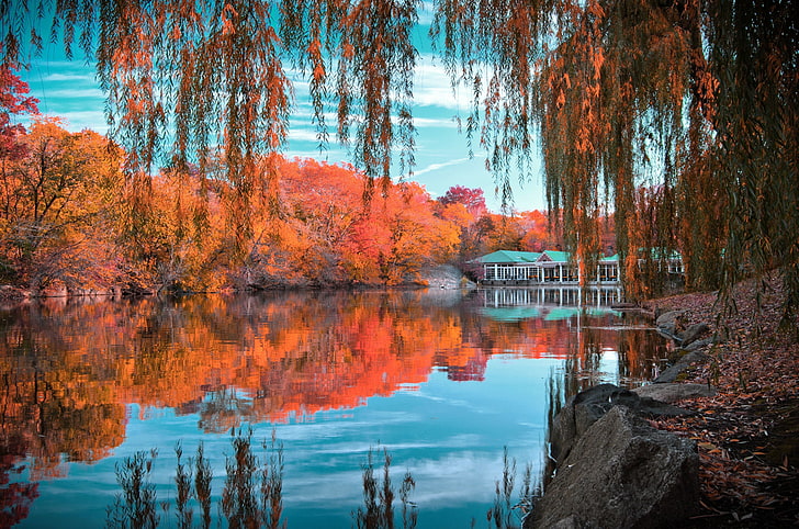 風景画 中央公園 ニューヨーク 秋 美しい風景 Hdデスクトップの壁紙 Wallpaperbetter