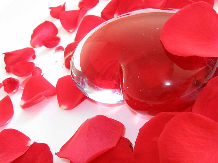Hjärta, kärlek, romantik, blommor, känslor, hjärta glas dekor, hjärta, kärlek, romantik, blommor, känslor, HD tapet