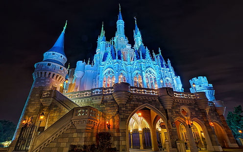 Disney castle at night, disney castle, world, 1920x1200, castle, disney, disneyland, HD wallpaper HD wallpaper