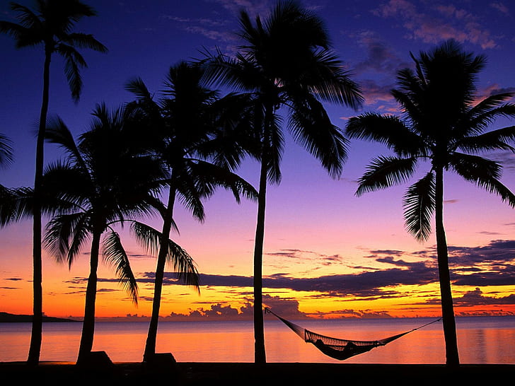 Sunset, Fiji, Palm trees, hammock, HD wallpaper