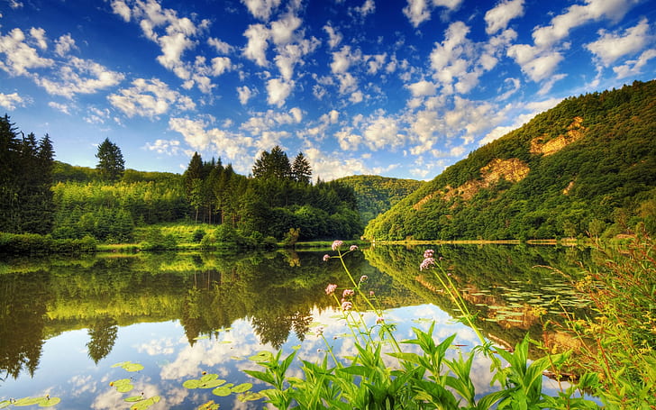 Летен пейзаж Езеро Цветя Зелена природа Синьо небе Небе облаци Красив HD тапет 2880 × 1800, HD тапет