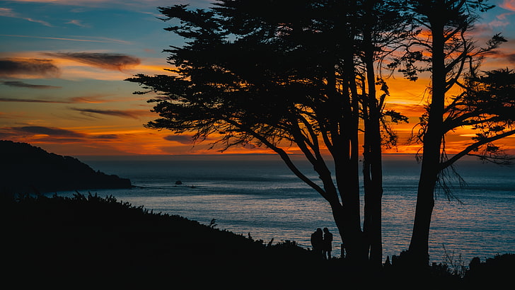 silueta de árbol, siluetas, puesta de sol, árbol, mar, Fondo de pantalla HD