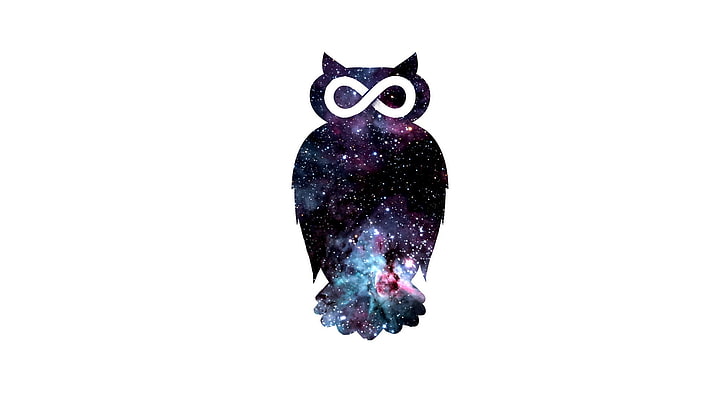purple and white owl graphic, digital art, minimalism, animals, white background, owl, infinity, space, stars, galaxy, HD wallpaper