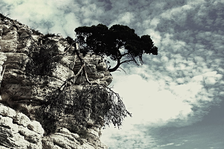 gray rock formation, rock, tree, conditions, sky, clouds, black-and-white, HD wallpaper