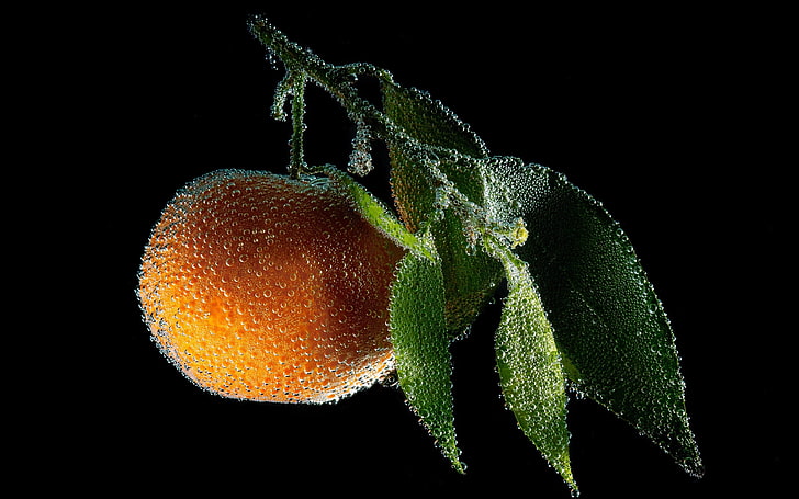 okrągły pomarańczowy owoc, mandarynka, krople, liście, owoce, pod wodą, Tapety HD