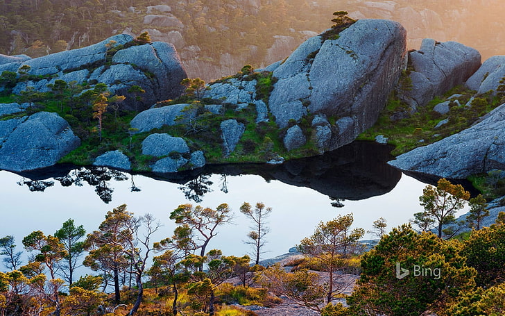 Norway scots pine trees on Sula Island-2016 Bing D.., HD wallpaper